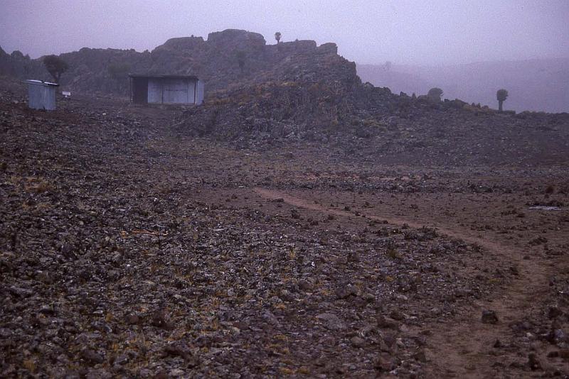 WT 1400 214-37 Kenya.jpg